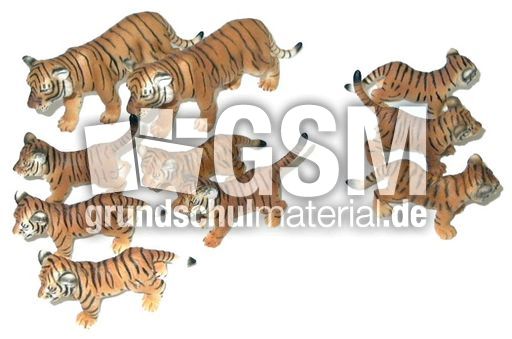 Tiger10-3.jpg